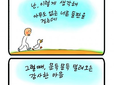 추수감사절이 다가온다