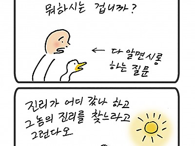 진리가 뭐야?
