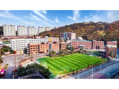 대신대, 학령인구 감소 역주행…AI·반려동물 전공 신설하고 제2캠퍼스 확…