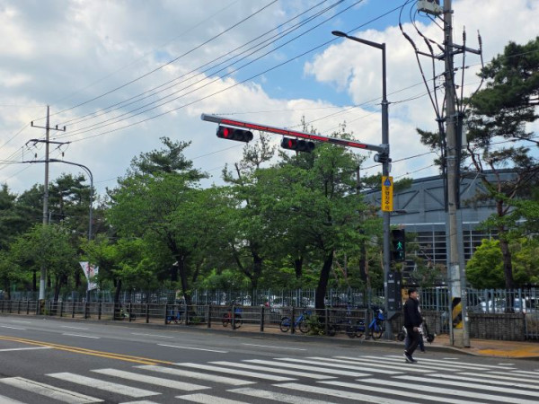 보도사진