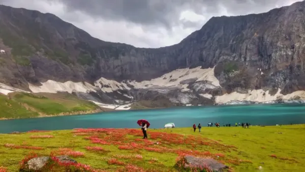 보도사진