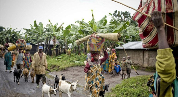 보도사진