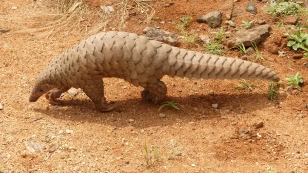 보도사진