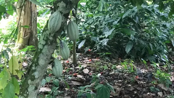 보도사진