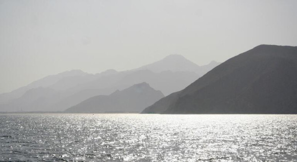 보도사진